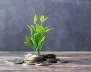 Vanguard outlook