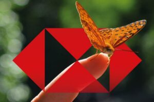 HSBC outlook